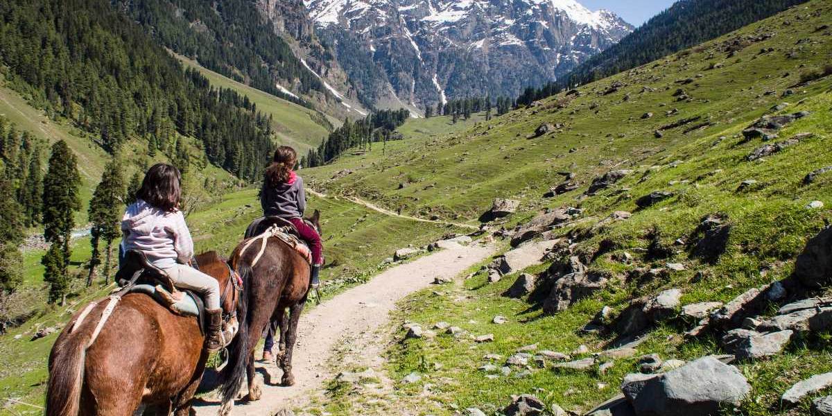 Srinagar, Vaishno Devi Darshan Tour