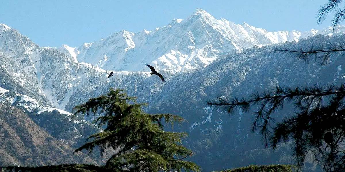 Dharamshala & Dalhousie Tour with Amritsar